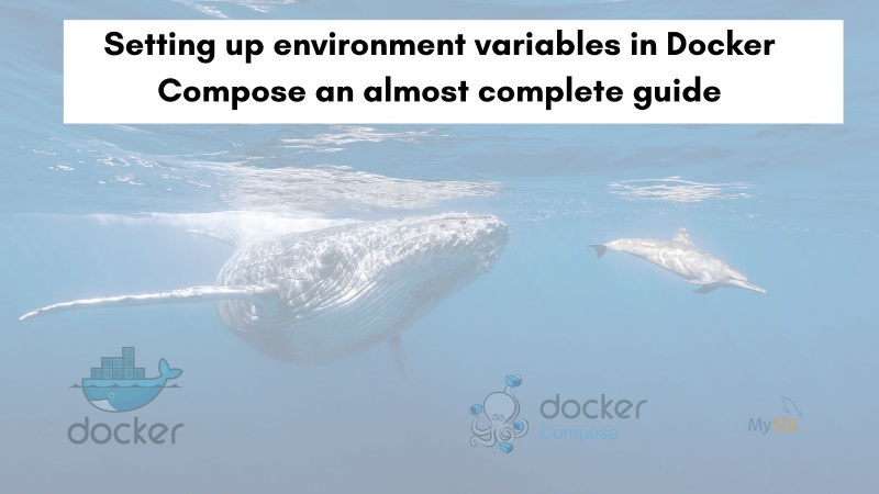 Setting up environment variables in Docker Compose an almost complete guide Setting up environment variables in Docker Compose an almost complete guide