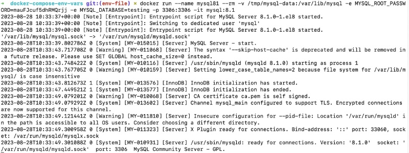 Docker run with environment variables Docker run with environment variables