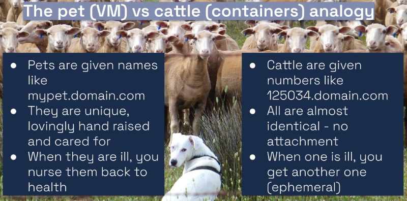 Pets vs cattle analogy for VMs vs containers Pets vs cattle analogy for VMs vs containers