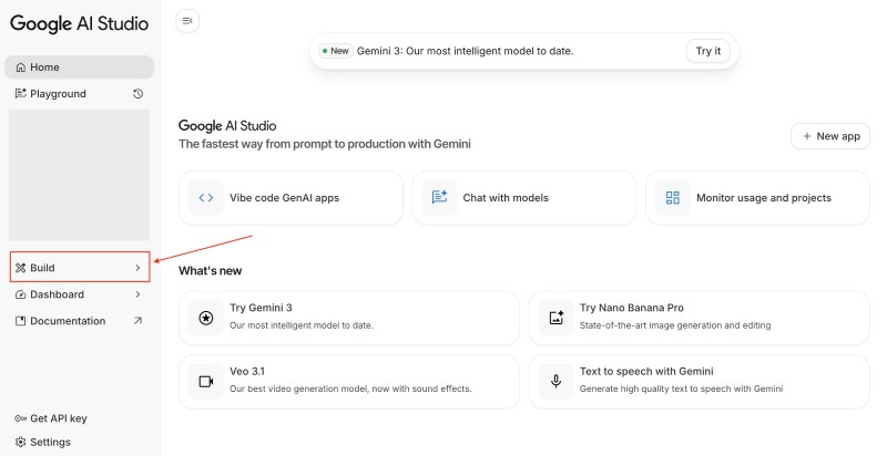 Google AI Studio Build link