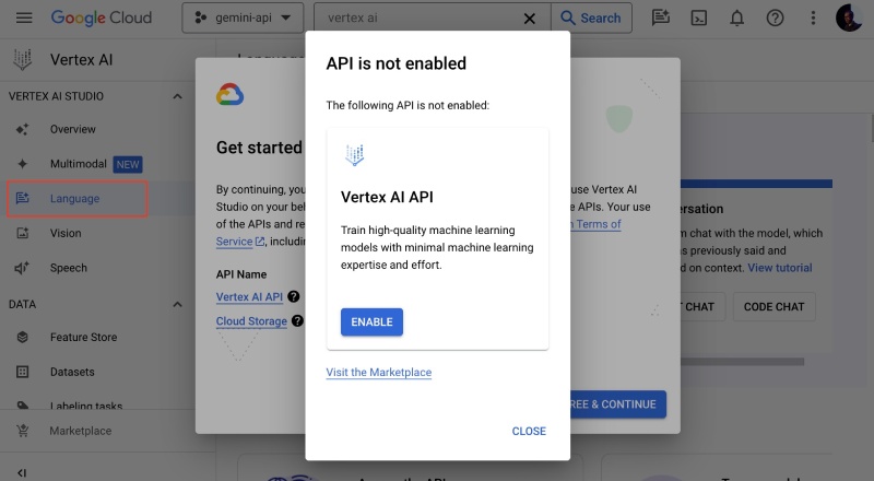 Enable the Vertex AI APIs to use Gemini 1.0 Pro LLM Enable the Vertex AI APIs to use Gemini 1.0 Pro LLM