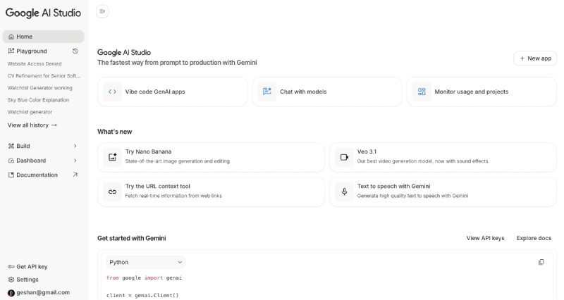 Google AI Studio home page