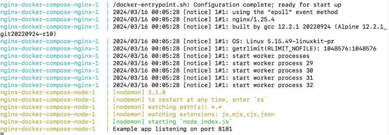 Running a complex Nginx Docker compose example with two containers
