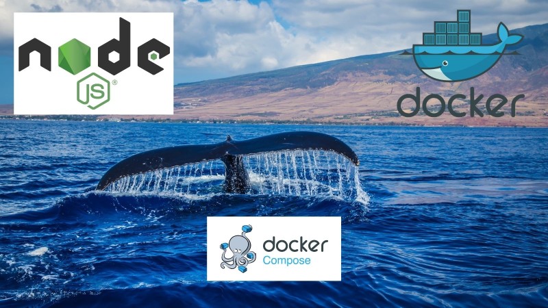 Docker with Node.js and docker compose a step-by-step tutorial Docker with Node.js and docker compose