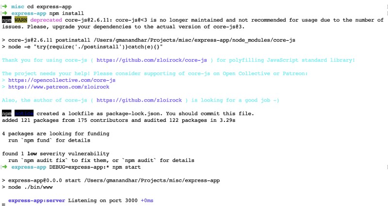 Run express with debug enabled Output of Express run with Debug