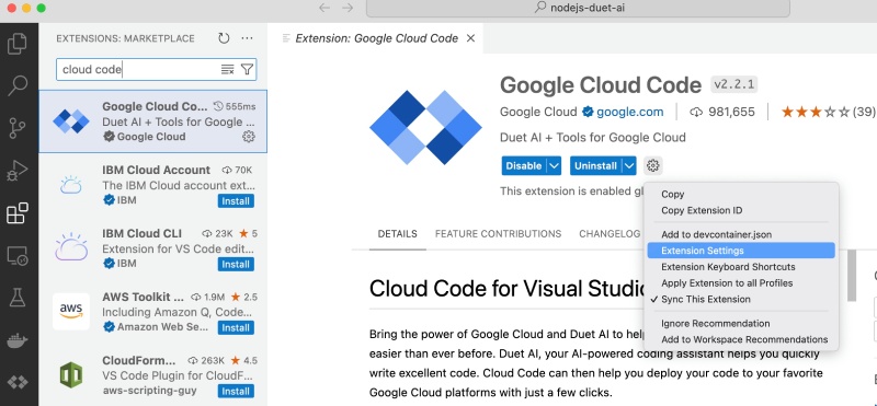 Duet AI (Cloud Code) settings on VS Code Duet AI (Cloud Code) settings on VS Code