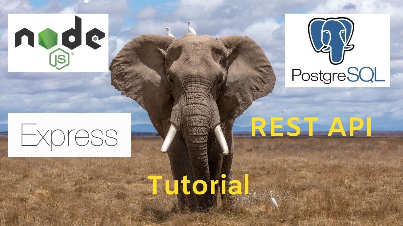 Node.js postgresql tutorial to build a quotes REST API using Express step-by-step Node.js postgresql tutorial to build a quotes REST API using Express step-by-step