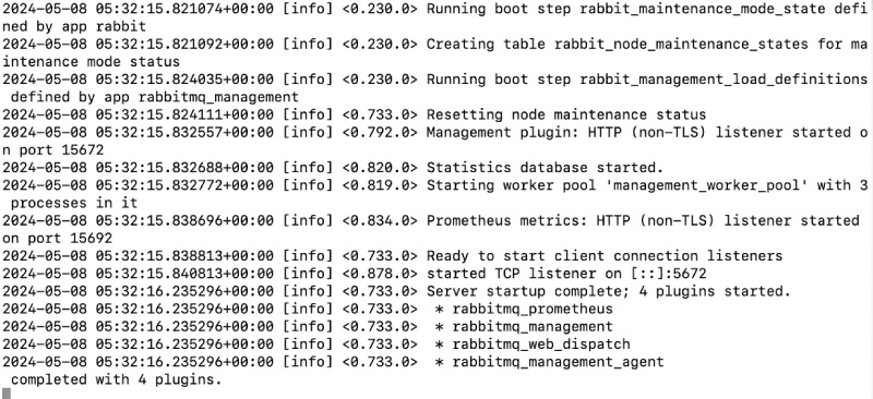 RabbitMQ running with the docker run command in not detached mode RabbitMQ running with the docker run command in not detached mode