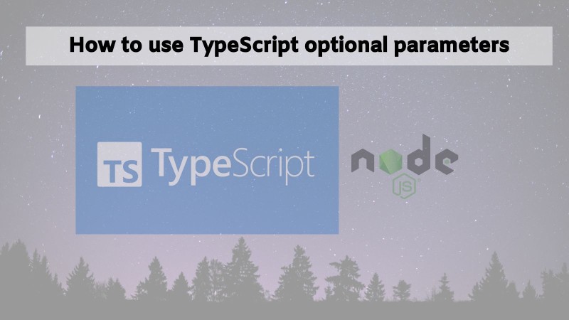 TypeScript optional parameters with example code TypeScript optional parameters with example code
